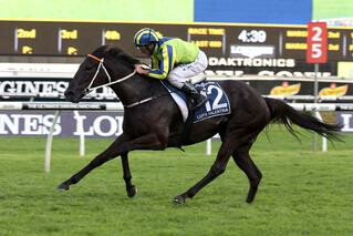 Lucia Valentina (NZ) scores scintillating win in the A$4m Queen Elizabeth Stakes. Photo Credit: Equine Images.